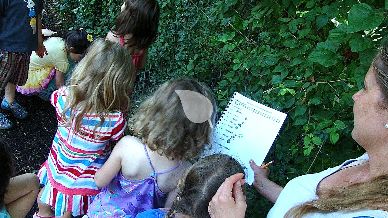 Create a Backyard Wildlife Sanctuary: A Kid's Step-by-Step Guide