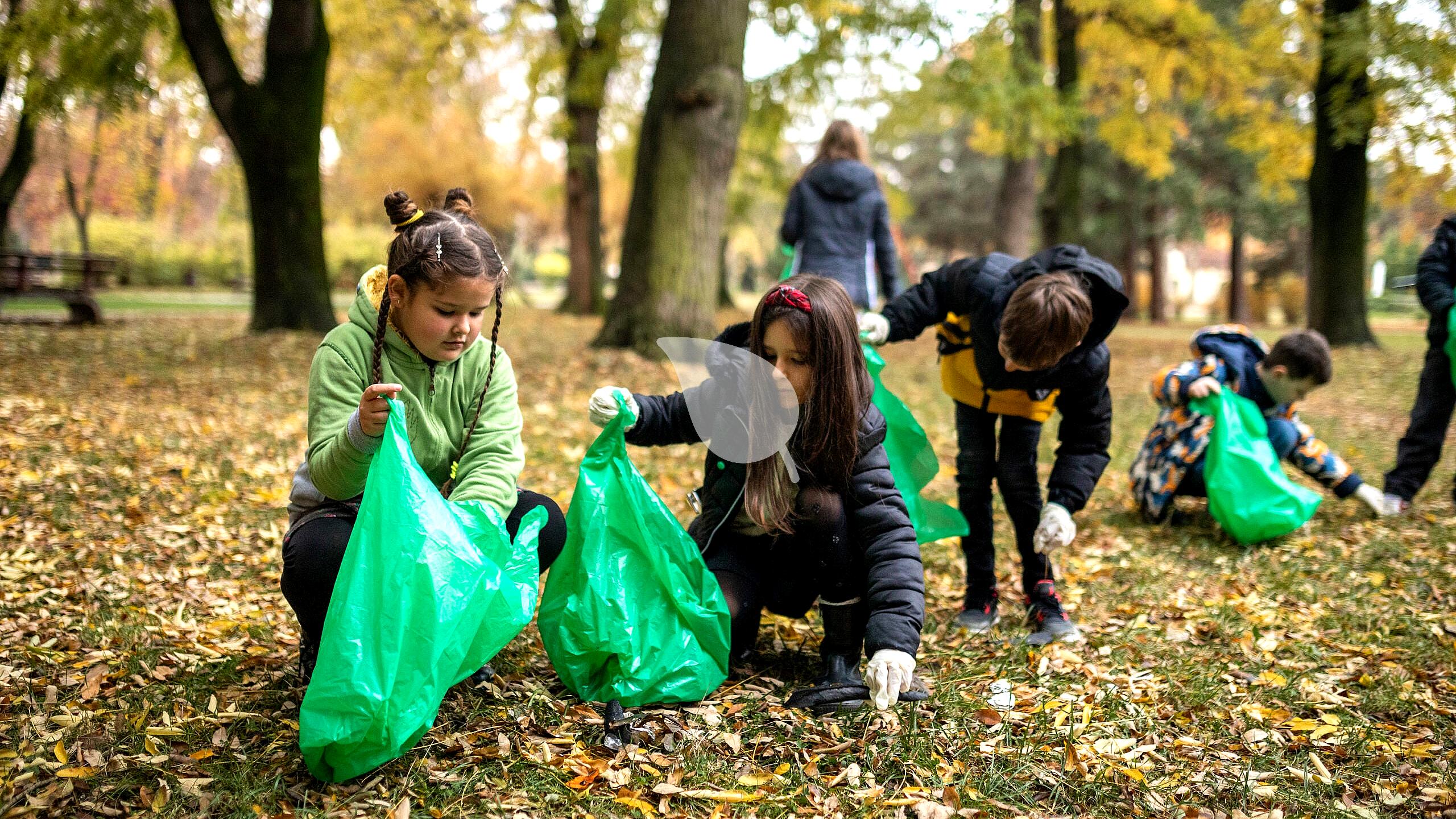 Start a Green Team in Your Neighborhood: Kids Leading Change