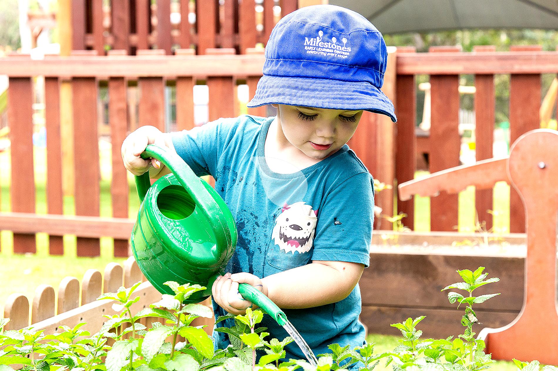 Toddler watering plants as eco education