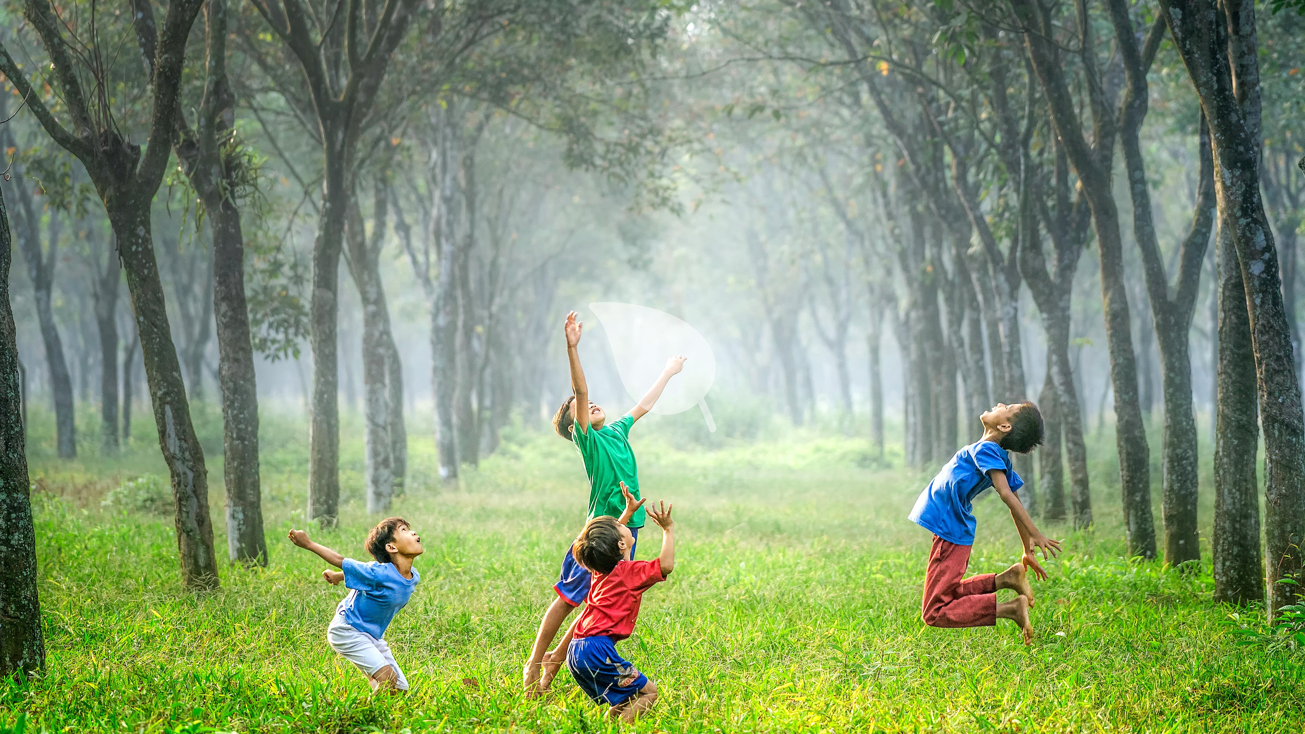 Why Toddlers Need Nature: The Science Behind It