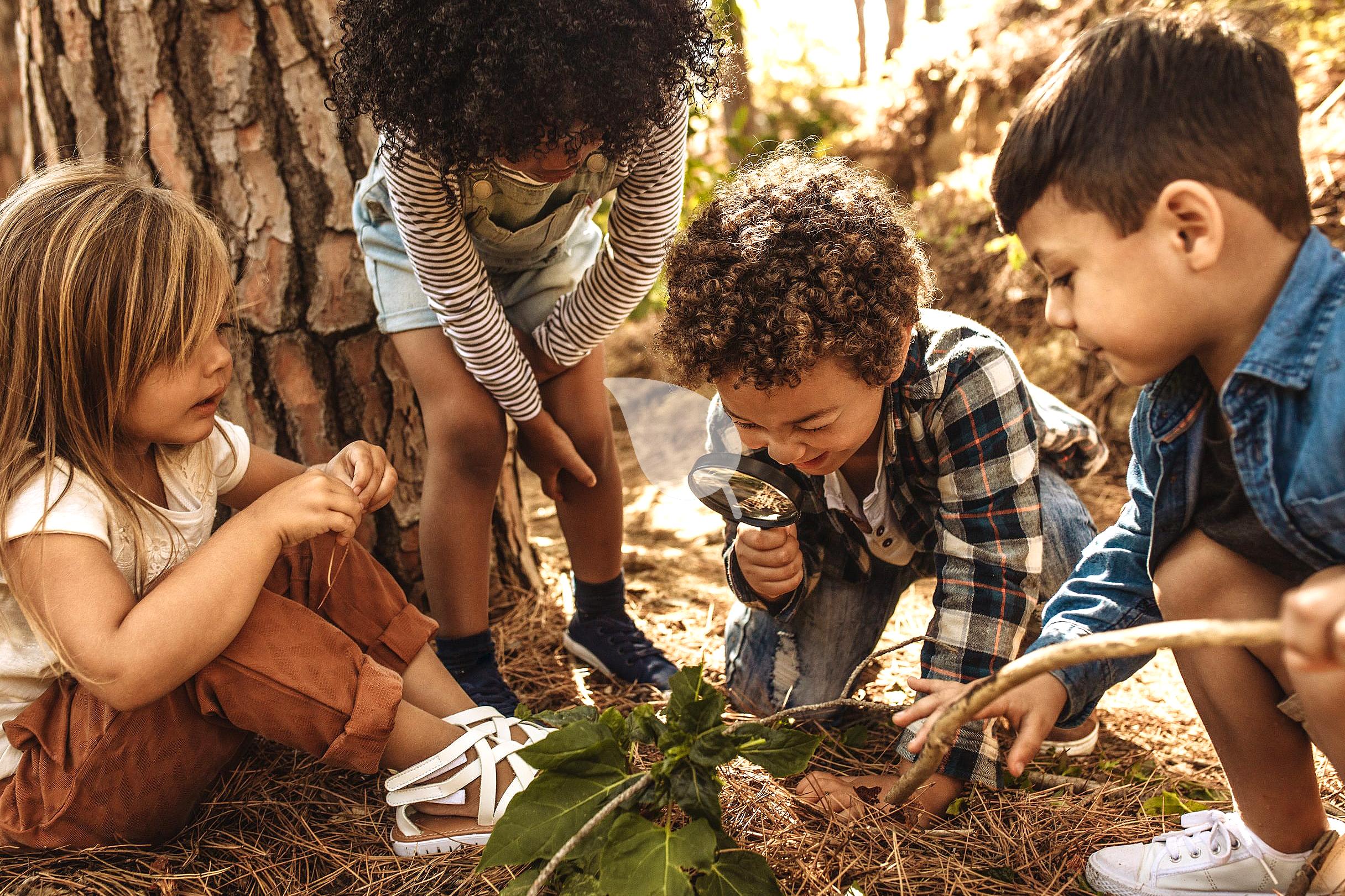 Children cooperating outdoors during a nature lesson