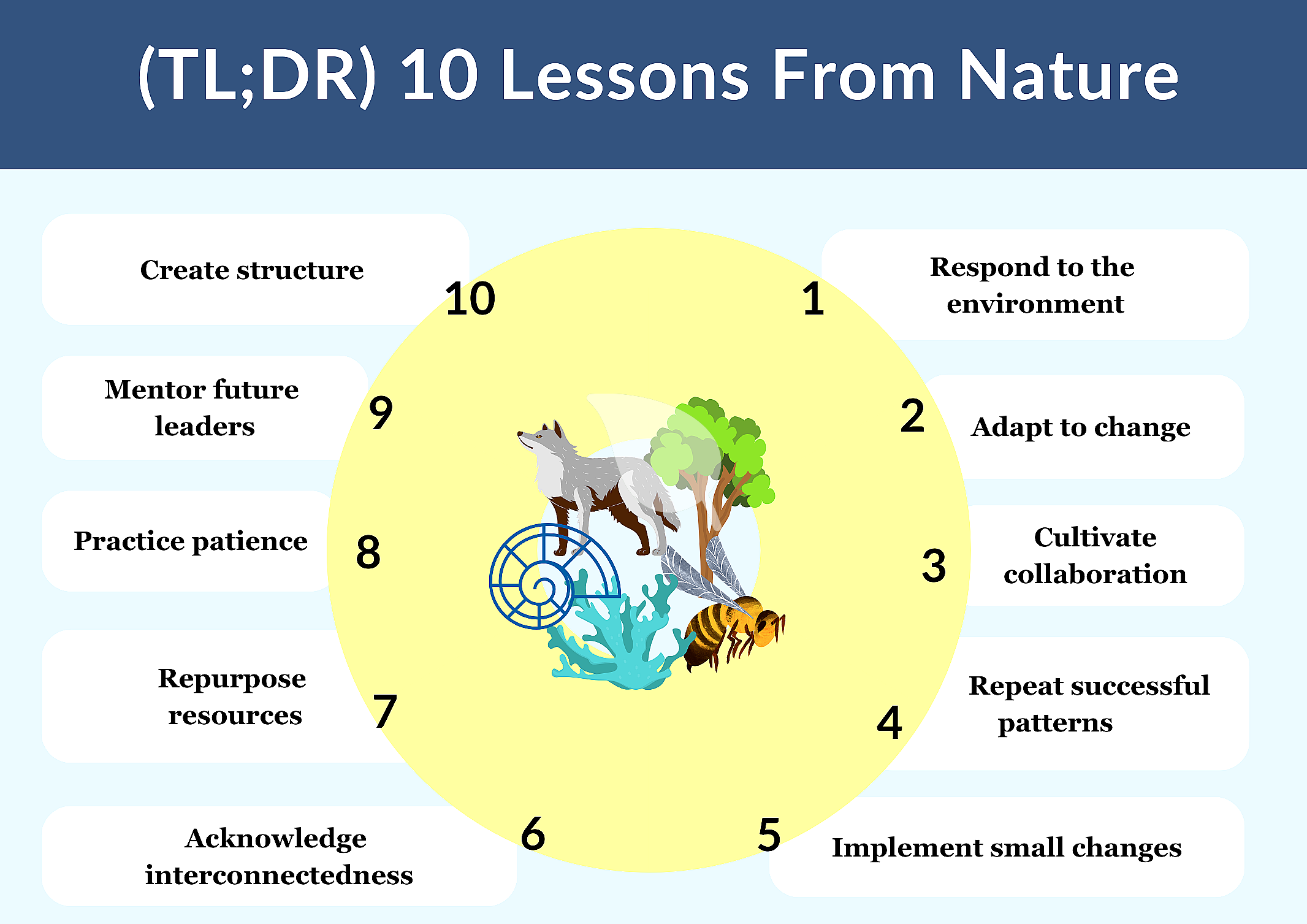Step-by-step guide to nature lessons for social skills