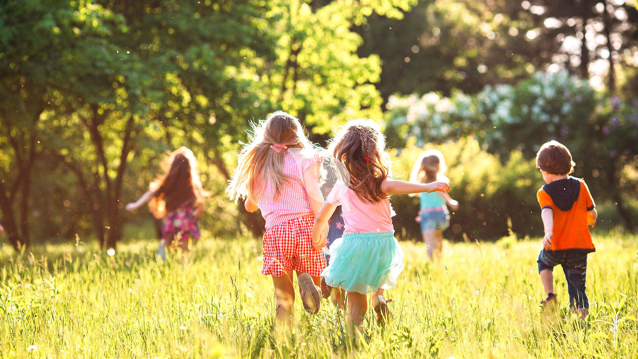 How Nature Lessons Improve Kids' Social Skills