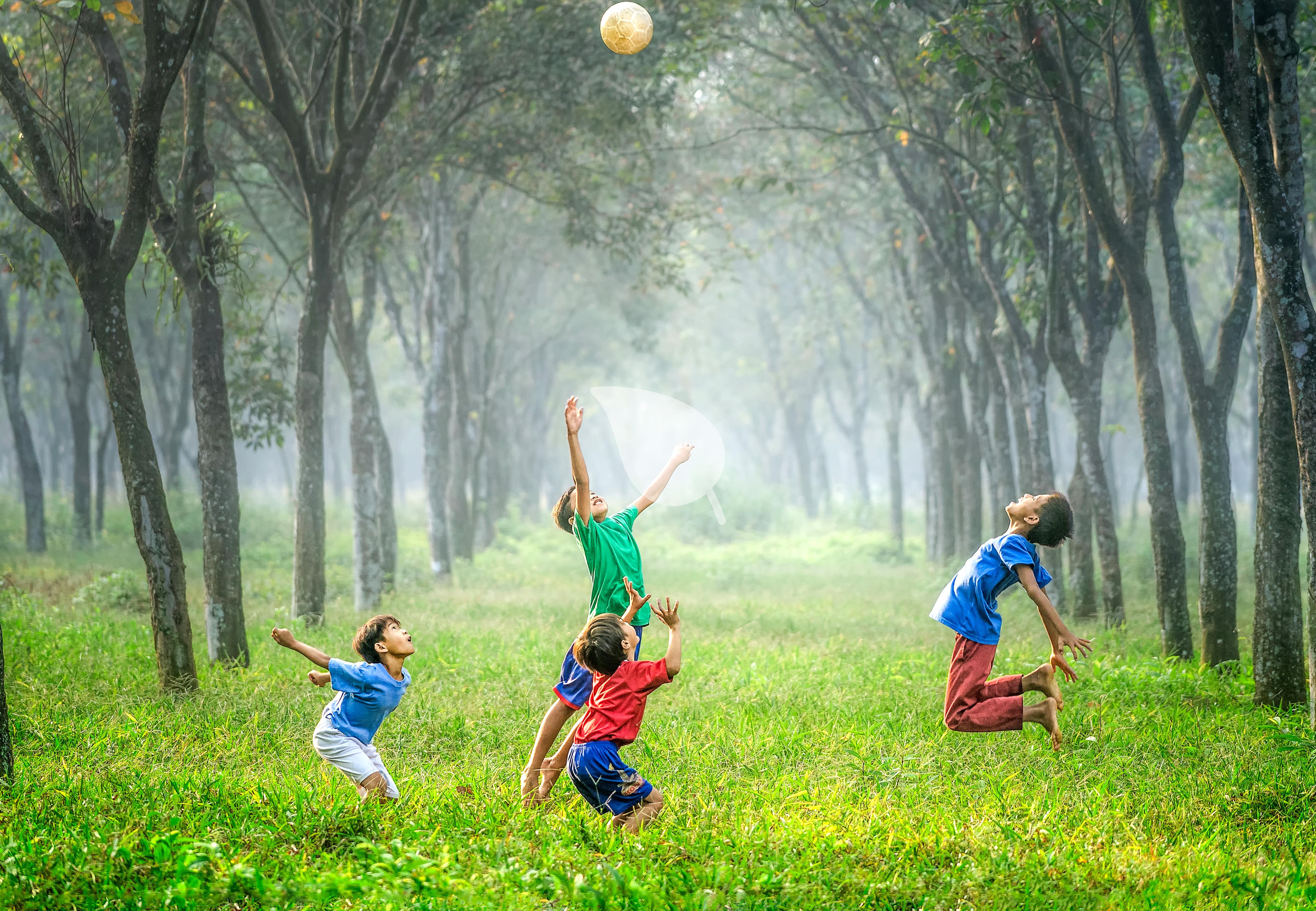 Children happily participating in outdoor eco activities as young environmentalists