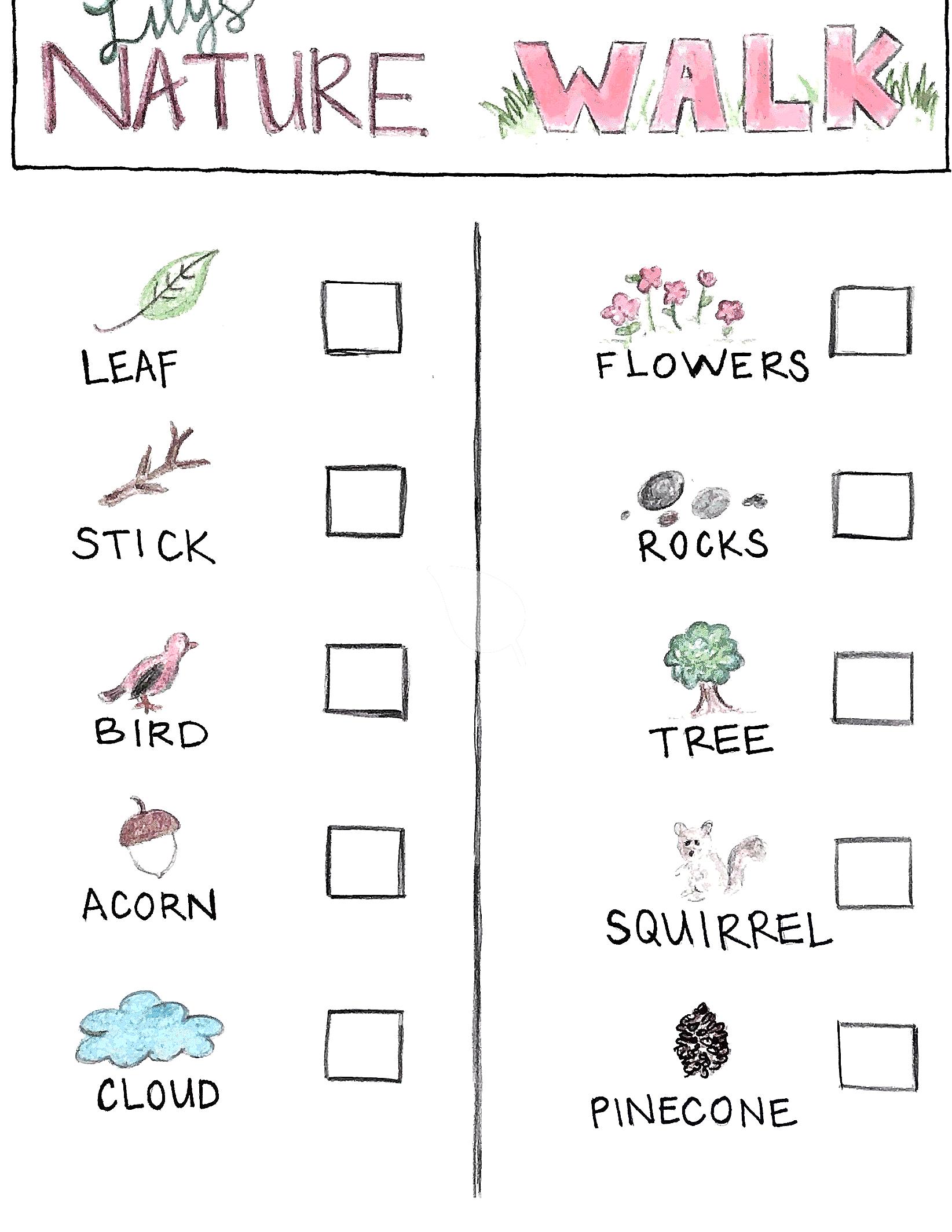 Children on a nature scavenger hunt finding leaves and insects