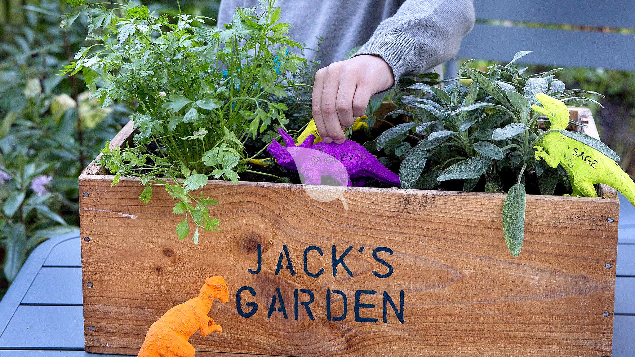 5 Creative Gardening Projects for Kids