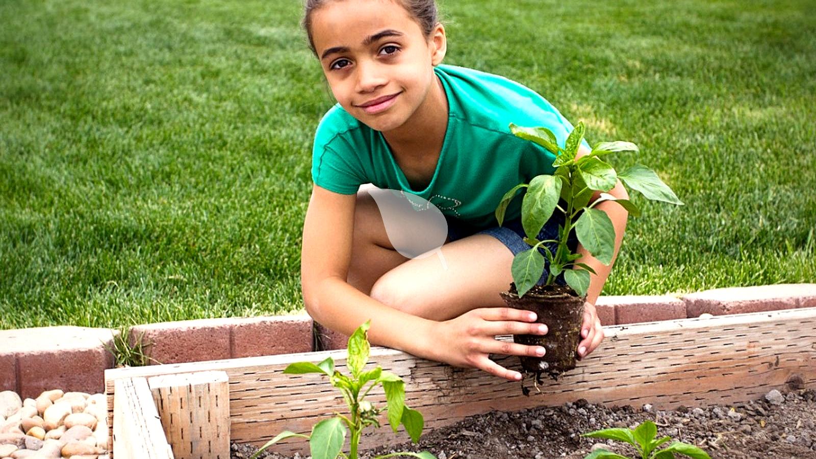 What Vegetables Should Kids Grow in Winter?