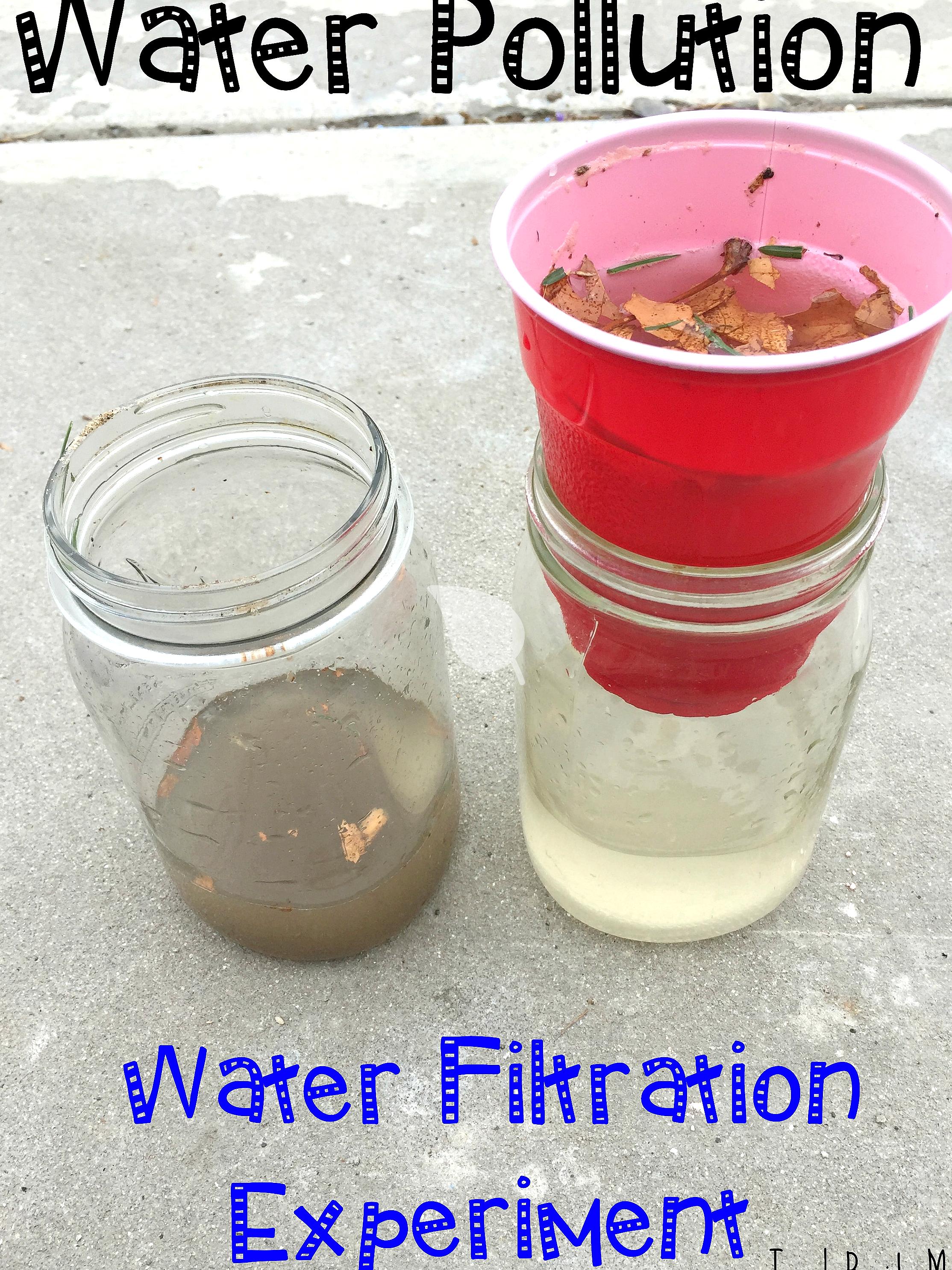 DIY natural water filter with gravel and charcoal layers