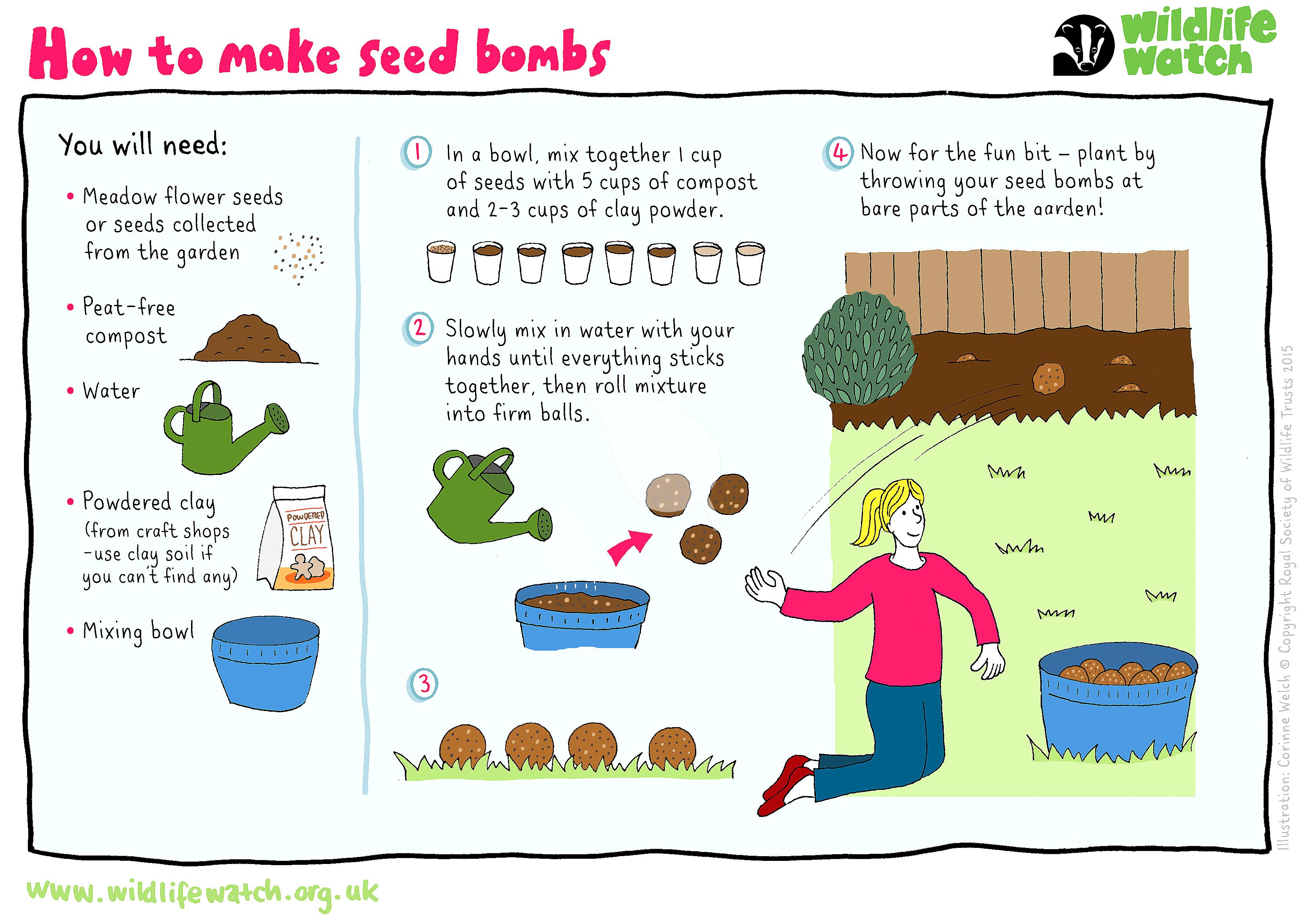 Child making seed bombs with clay and seeds