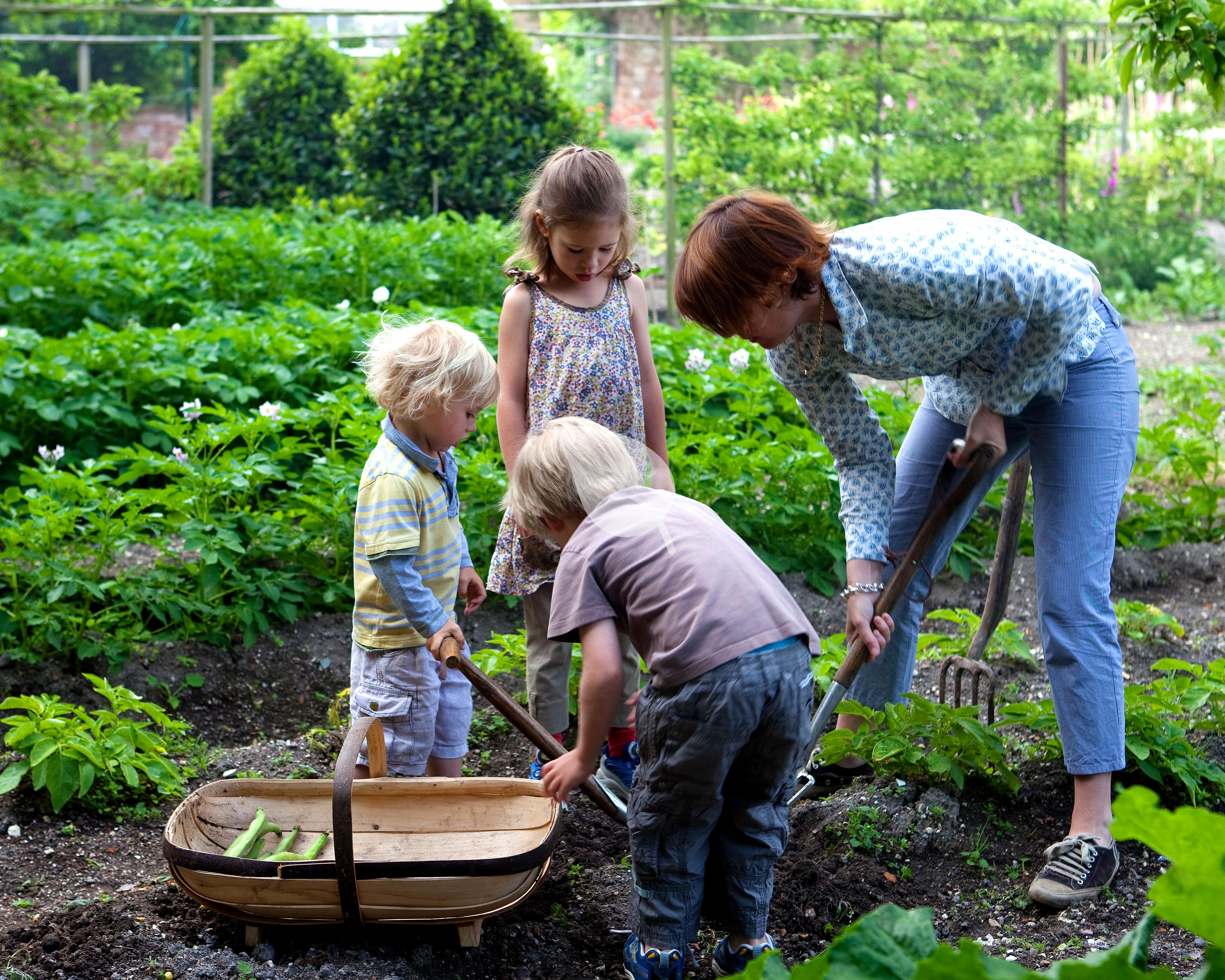Children happily gardening easy vegetables