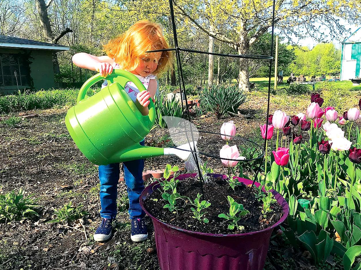Kids planting vegetables in containers