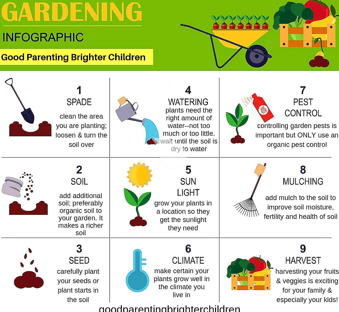 Step by step kids gardening setup guide