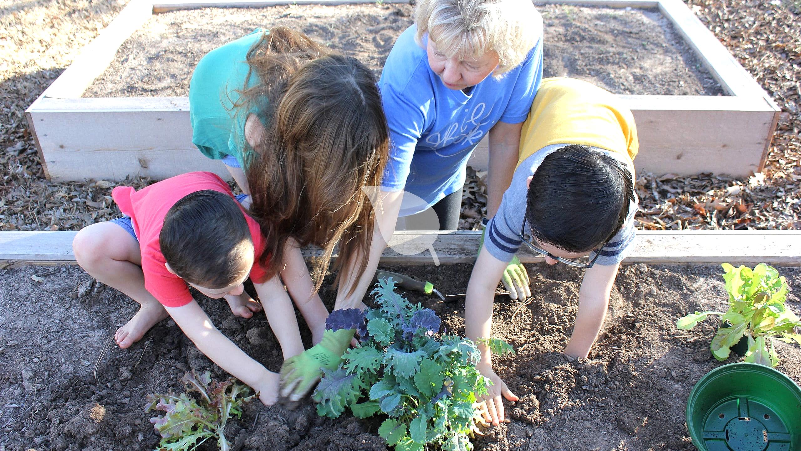 10 Easy Vegetables for Kids to Grow Successfully