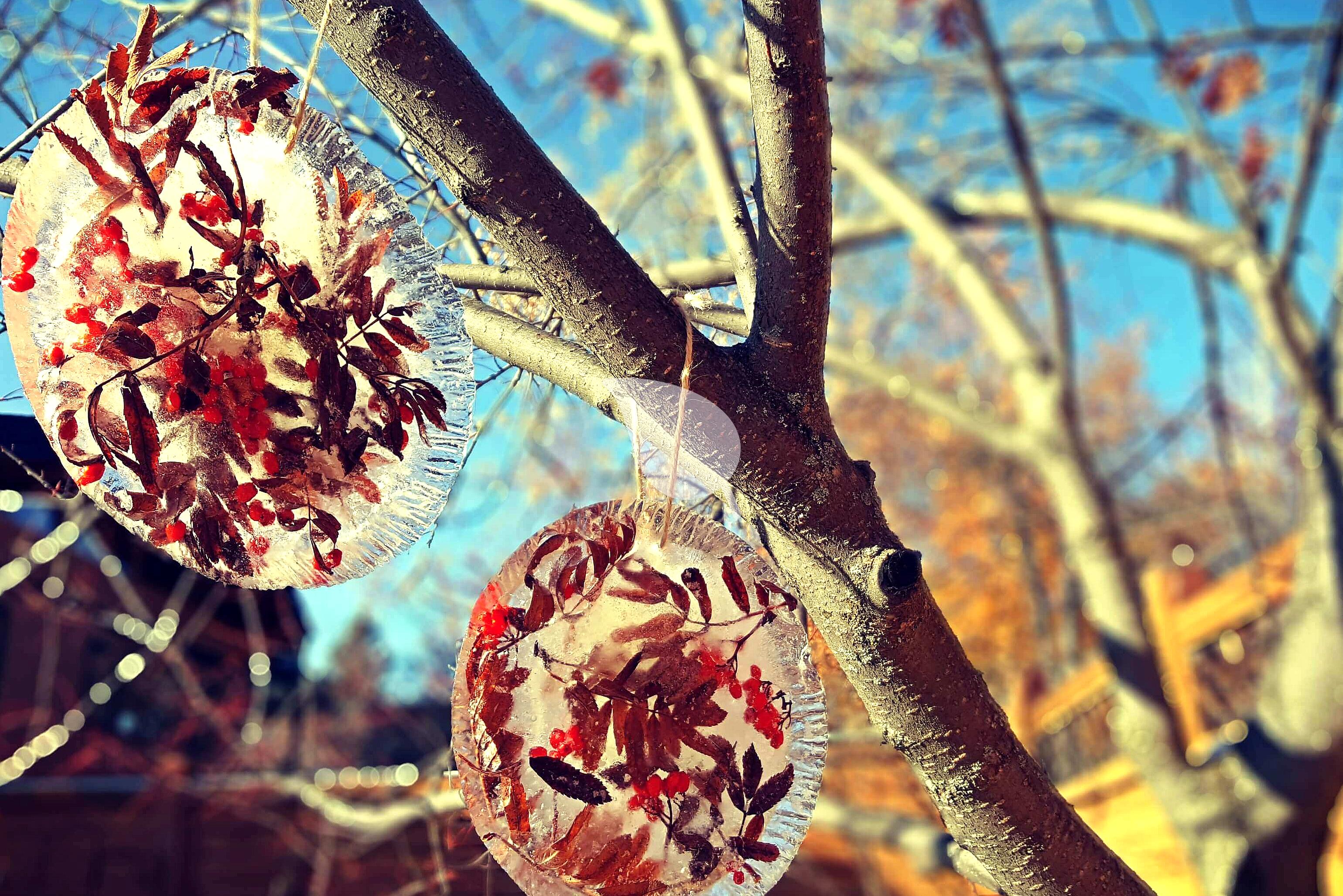 Child creating a frozen sun catcher craft
