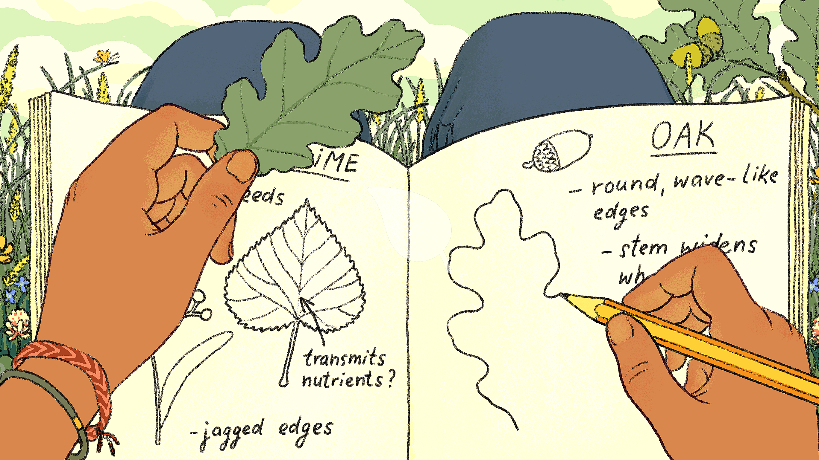 Child observing nature with a nature journal outdoors