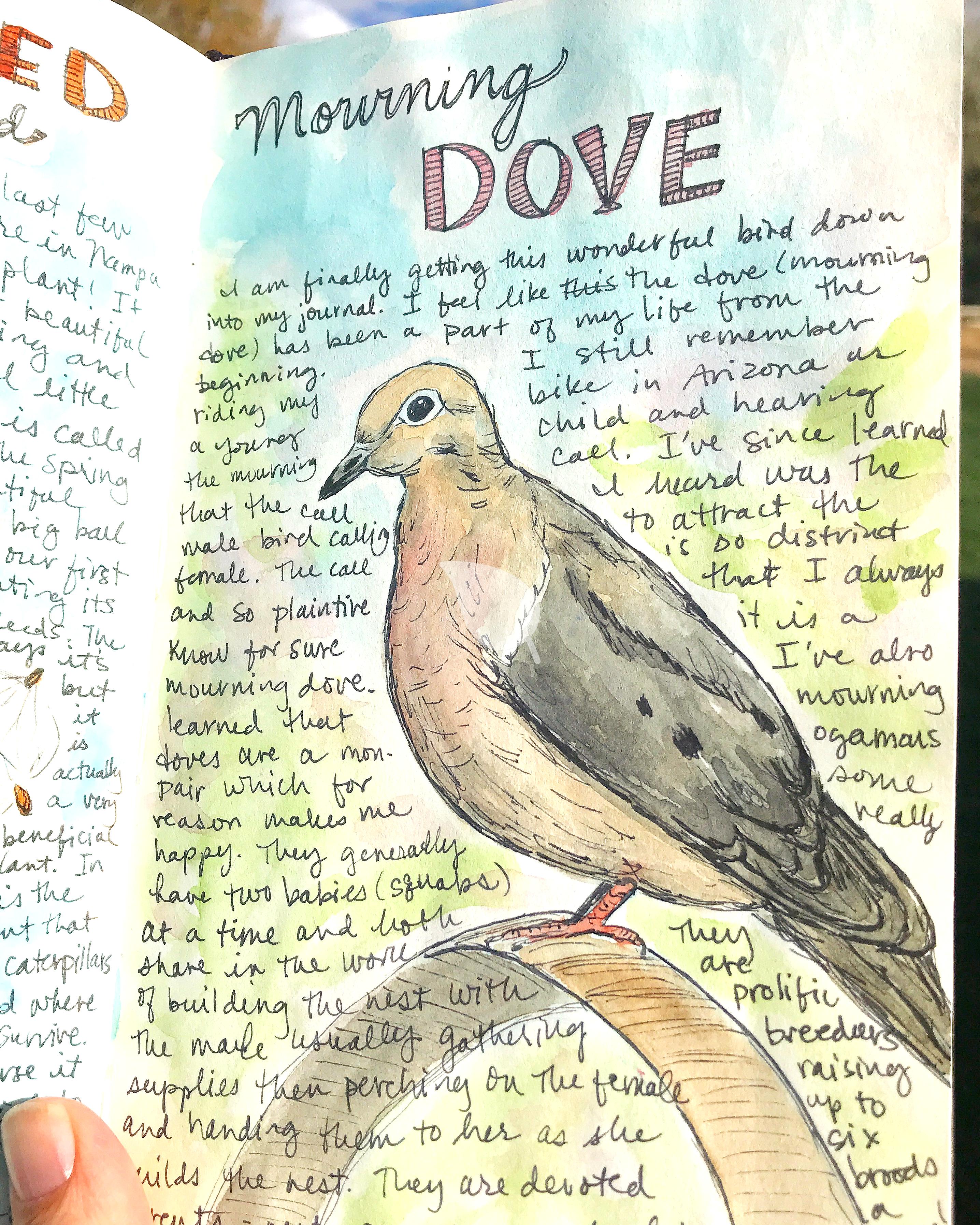 Infographic showing steps to build journaling habits