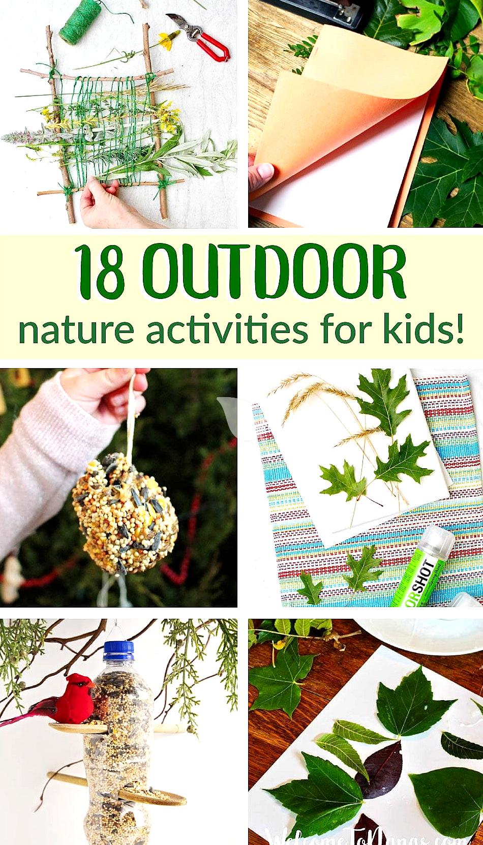 Infographic showing steps to set up home nature activities