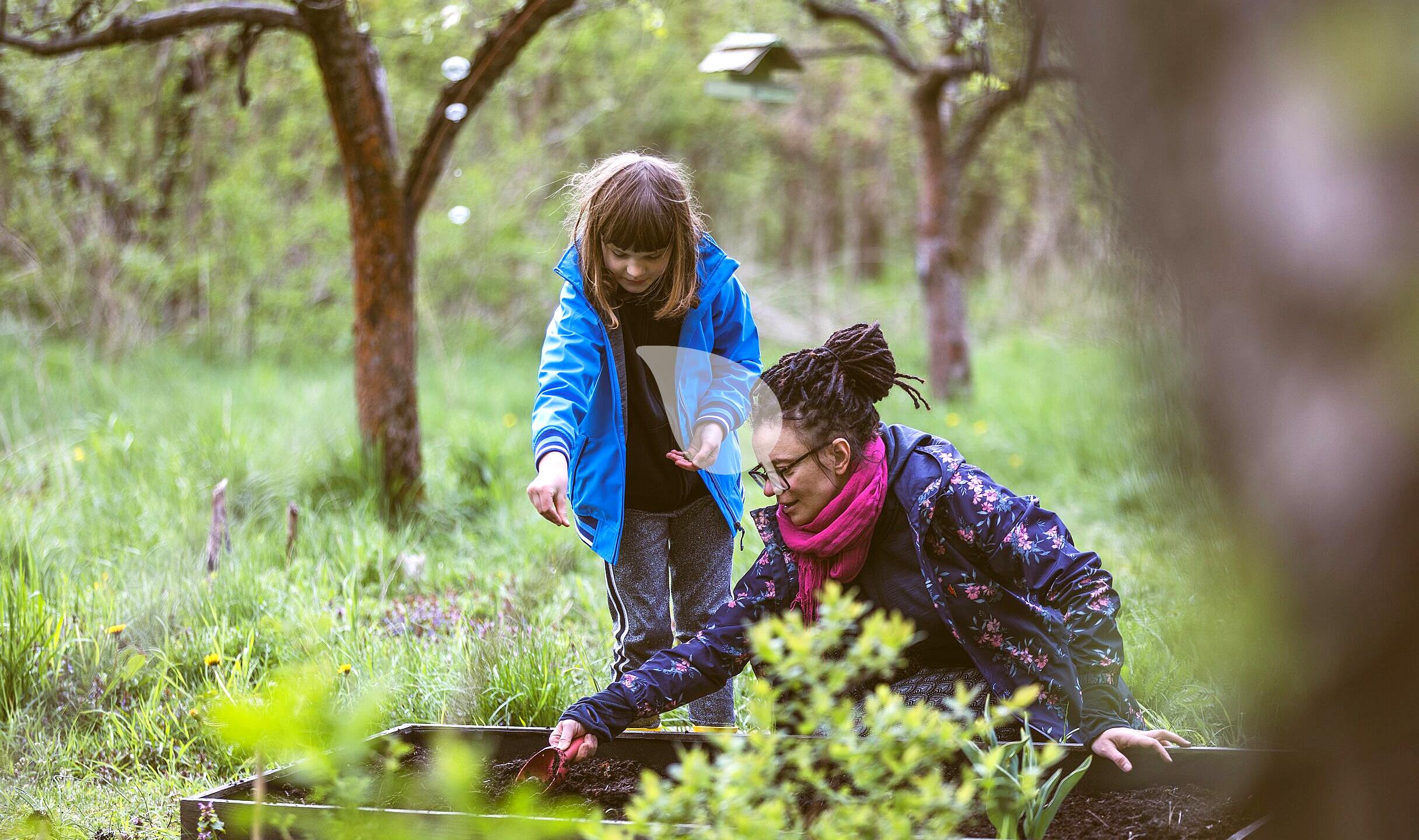Child hugging a tree during nature therapy
